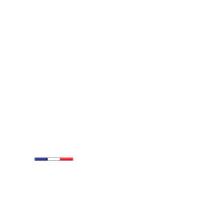 Logo entreprise SLD - savoie loire décolletage